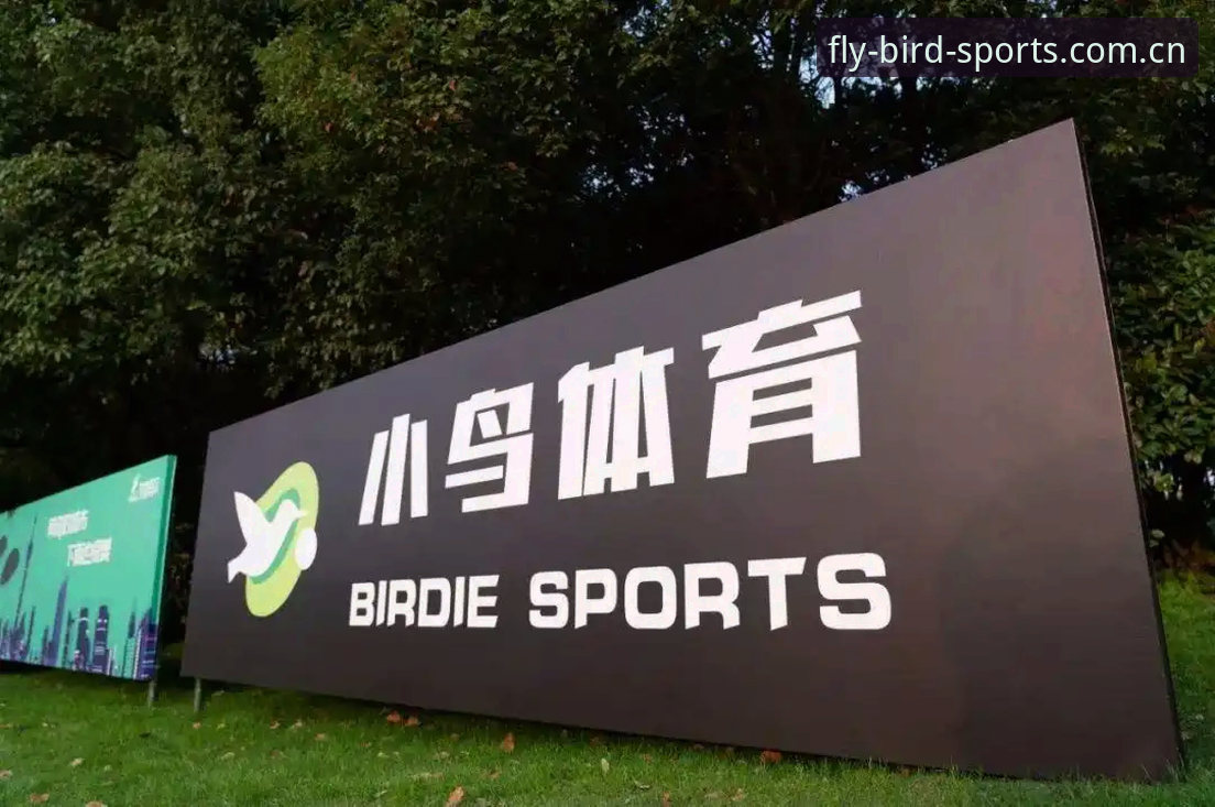 2026小鸟体育注册 2026小鸟体育注册指南:从入口到下载的完整流程详解